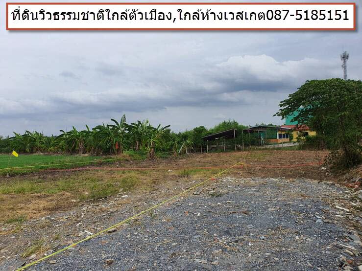 ที่ดิน 1284000 นนทบุรี บางบัวทอง บางคูรัด